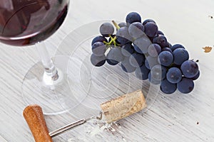 Wine degustation photo