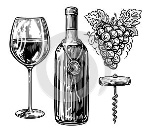 Wine drink concept. Bottle of wine, wineglass, corkscrew and bunch of grapes. Sketch vintage vector illustration