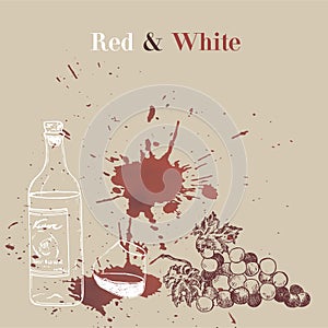 Wine events presentation sketch vector illustration of red winery spot with liquid effect. Stains of red wine, bottle photo
