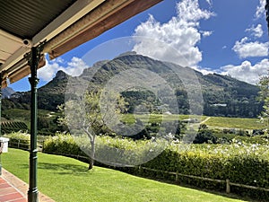 Wine Farm in Constantia Cape Town South Africa