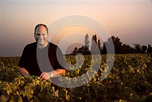 Wine Farmer