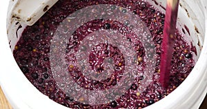 wine fermentation, the process of making wine from grapes