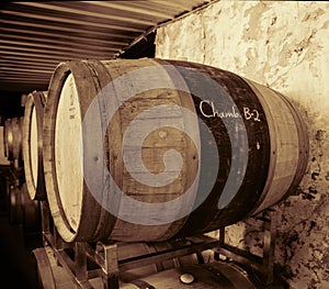 Wine Fermenting in Wooden Casks