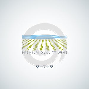 Wine field background