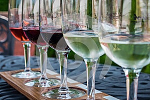 Wine flight lined up for tasting at the vineyard