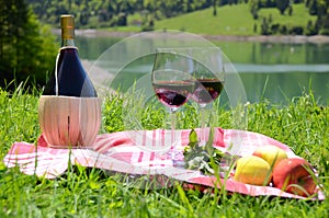 Wine and fruits served at a picnic