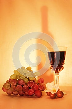 Wine, fruits and silhouette