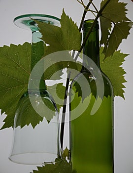 Wine glas and bottle