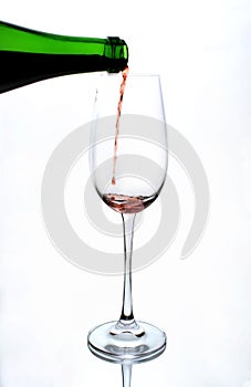 Vino vaso 