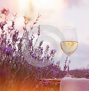 Wine glass against lavender