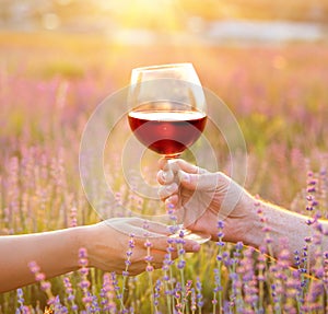 Wine glass against lavender landscape in sunset rays.