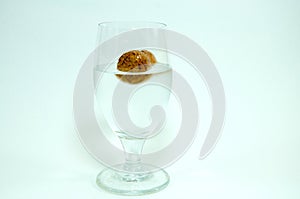 Wine glass and champagne cork on white background.