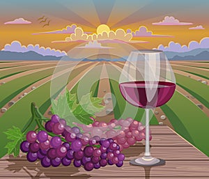 Wine glass and grapes in wineyard