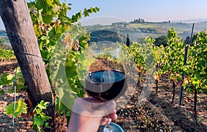 Wine glass of in hand of drinker, between grapevine lines of wineyard. Green vineyard landscape with farms on hills