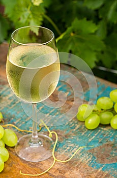 Wine glass with ice cold white wine, outdoor terrace, wine tasting in sunny day, green vineyard garden background.