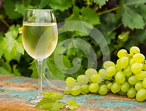 Vino bicchiere Freddo vino bianco esterno terrazza vino degustazione soleggiato verde vigneti giardino 