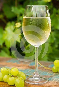 Wine glass with ice cold white wine, outdoor terrace, wine tasting in sunny day, green vineyard garden background.