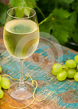 Wine glass with ice cold white wine, outdoor terrace, wine tasting in sunny day, green vineyard garden background.