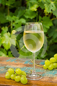 Wine glass with ice cold white wine, outdoor terrace, wine tasting in sunny day, green vineyard garden background.