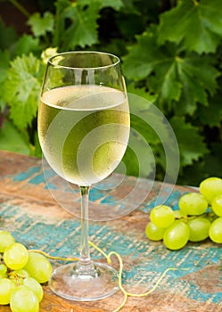 Wine glass with ice cold white wine, outdoor terrace, wine tasting in sunny day, green vineyard garden background.
