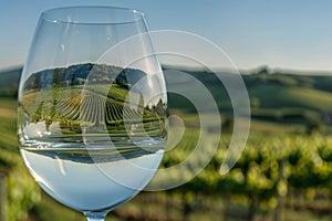 Wine Glass Overlooking Lush Green Vineyard at Sunset