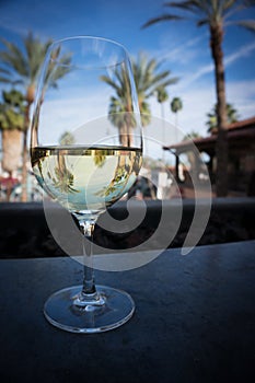 Wine glass with palm tree reflections