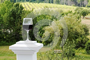 Wine glass with red wine and vinyard in the backgroune