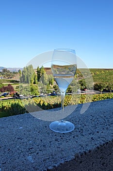 A wine glass showing vineyard in the background photo
