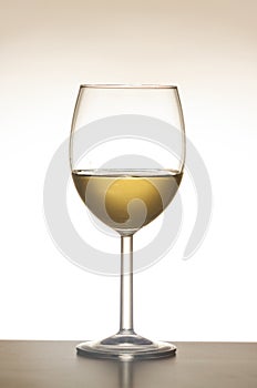 Wine glass white wine isolated against white background