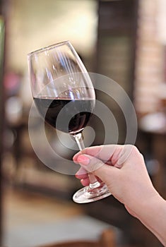 Wine glass in a woman`s hand photo