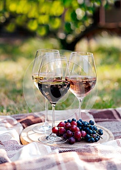 Wine in glasses with bunch of grape