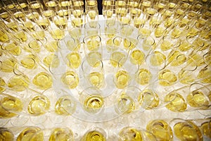 Wine glasses Champagne glasses