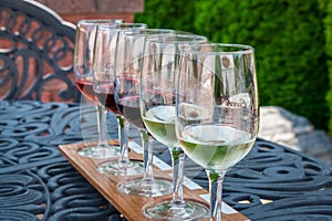 Wine glasses lined up for a tasting in the garden at local vineyard