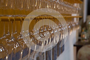 Wine glasses in row on bar, restaurant, wine tasting on winery