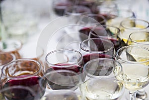 Wine glasses with white and red wine on the table on a blurred