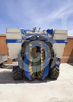 Wine grape harvester