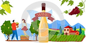 Wine grape production vector illustration, cartoon flat producing alcohol wine drink concept with traditional winemaking