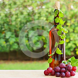 Wine, grape and vineyard