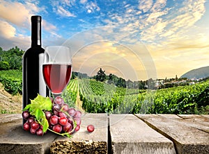 Wine with grape and vineyard