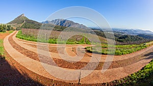 Wine Grape Vineyards Mountains Scenic Landscape