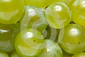 Wine grapes