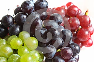 Wine grapes