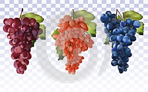 Wine grapes. Collection three grapes red, dark blue with green leaf. Healthy fruits. Table grapes. Icon set. 3D