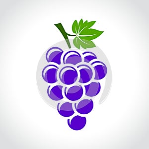Wine grapes icon concept