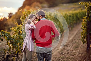 Wine grapes in a vineyard. Couple winemakers in the vineyard