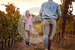 Wine grapes in a vineyard. Young woman with wine on vineyard