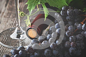 Wine grapes and wine on a wooden background