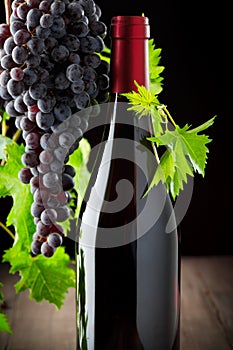 Wine grapes and wine on a wooden background