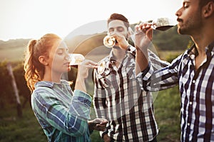 Wine grower and people in vineyard