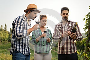 Wine grower and people in vineyard